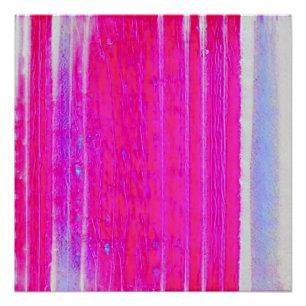 Lebhafte Abstrakte Rosa und Lila Streifen Kunst, D Poster