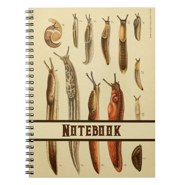 Lebhafte antike Slug-Illustration Naturgeschichte Notizblock (Vorderseite)