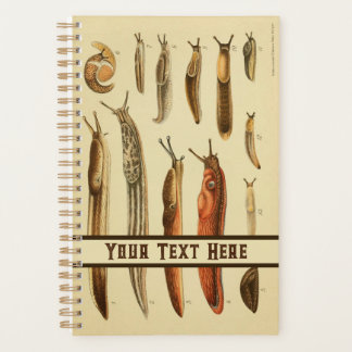 Lebhafte antike Slug-Illustration Naturgeschichte Planer