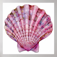 Lebhafte Aquarellfarben-Rosa-Muscheldarstellung