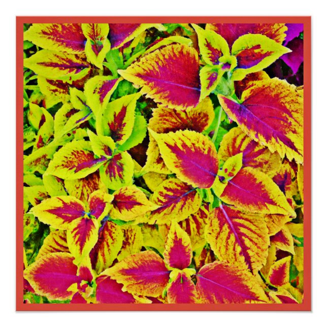 Lebhafte Blätter Pattern Dance Poster (Vorderseite)