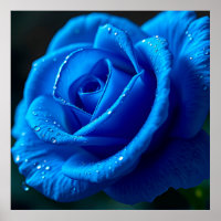 Lebhafte blaue Rose mit Wasserfällen