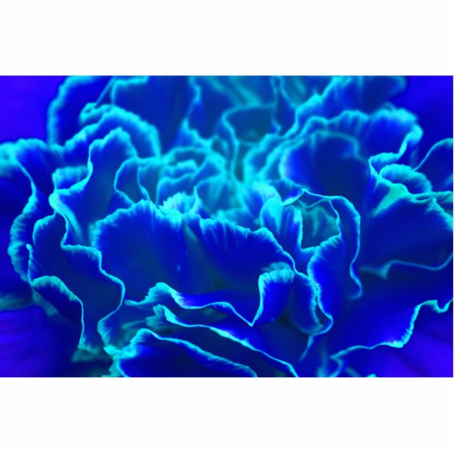 Lebhafte blaue und Aquamarine Carnation-Blume Fotoskulptur Magnet (Vorne)