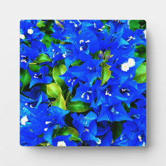 Lebhafte Blue Bougainvillea Blume Fotoplatte