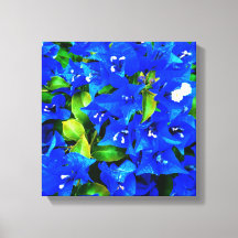 Lebhafte Blue Bougainvillea Blume