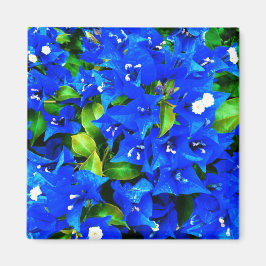 Lebhafte Blue Bougainvillea Blume Magnet