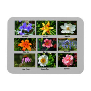 Lebhafte Blume im Garten Magnet