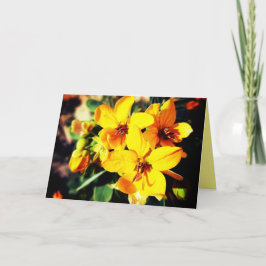 Lebhafte Blume Karte