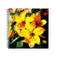 Lebhafte Blume