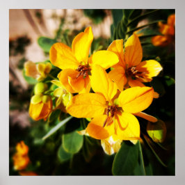 Lebhafte Blume Poster