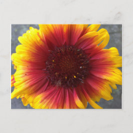 Lebhafte Blume Postkarte