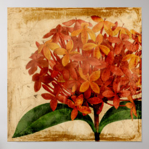 Lebhafte Blüte III Poster