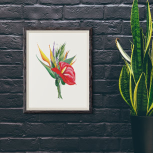 Lebhafte Blüten von roten Anthurium-Vögeln des Par Poster
