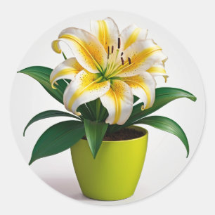 Lebhafte botanische Blumenpracht, Zinnia Blume Runder Aufkleber