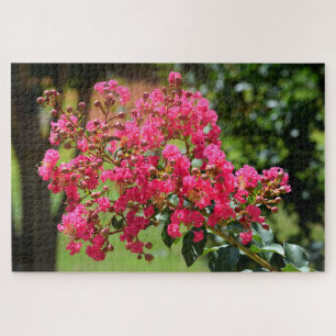 Lebhafte Crêpe Myrtle Busch Blume