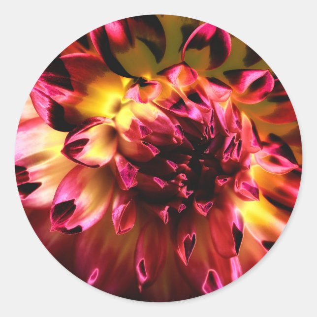 Lebhafte, einzigartige Blume Runder Aufkleber (Vorderseite)