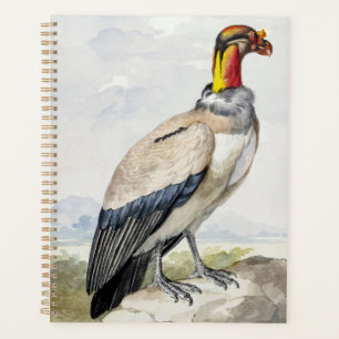 Lebhafte exotische Königsgeier-Wanddekoration Planer