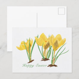 Lebhafte, gelbe Crocus-Blume glücklich Ostern Feiertagspostkarte