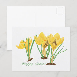 Lebhafte, gelbe Crocus-Blume glücklich Ostern Feiertagspostkarte