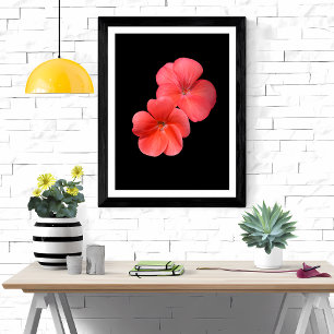 Lebhafte Geranium-Blume Fotodruck