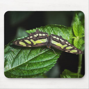 Lebhafte grüne Mousepad