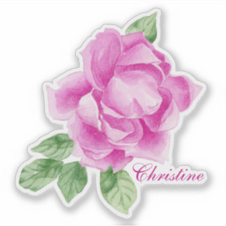 Lebhafte, handgestrichene Wasserfarbe Rosa Rose Aufkleber