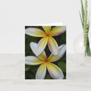 Lebhafte hawaiianische Blume geklappte Grußkarte Karte