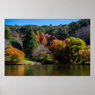 Lebhafte Herbstfarben Landschaftsbäume Poster