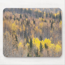 Lebhafte Mousepad im Herbstwald