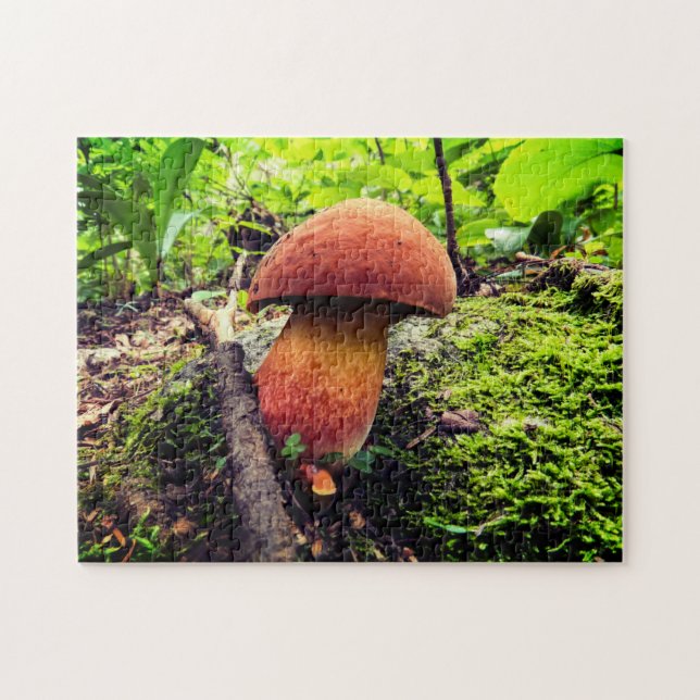 Lebhafte Natur | King Bolete (Horizontal)