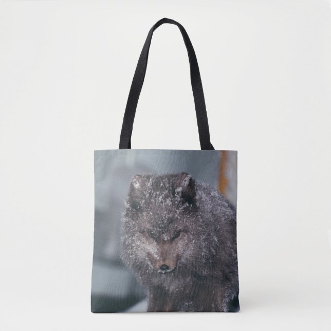 Lebhafte Niedliche arktische Blaue Phase Fox Winte Tasche (Vorderseite)