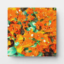 Lebhafte Orange Bougainvillea Blume