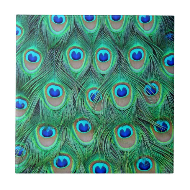 Lebhafte Peacock Feathers Fliese (Vorderseite)