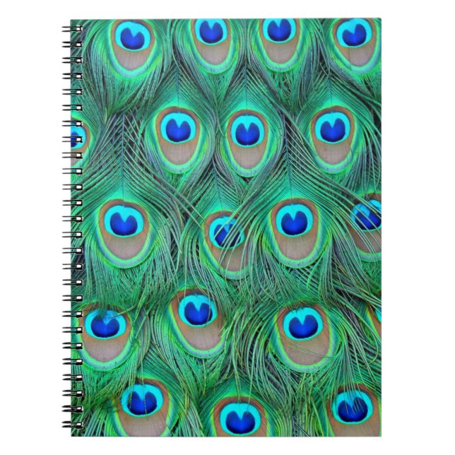 Lebhafte Peacock Feathers Notizblock (Vorderseite)