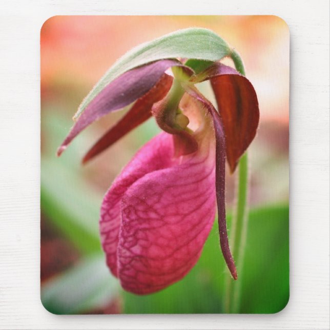 Lebhafte Pink Lady Slipper Orchid-Blume Mousepad (Vorne)