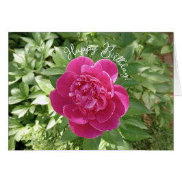 Lebhafte Pink Peony Blume Geburtstagskarte