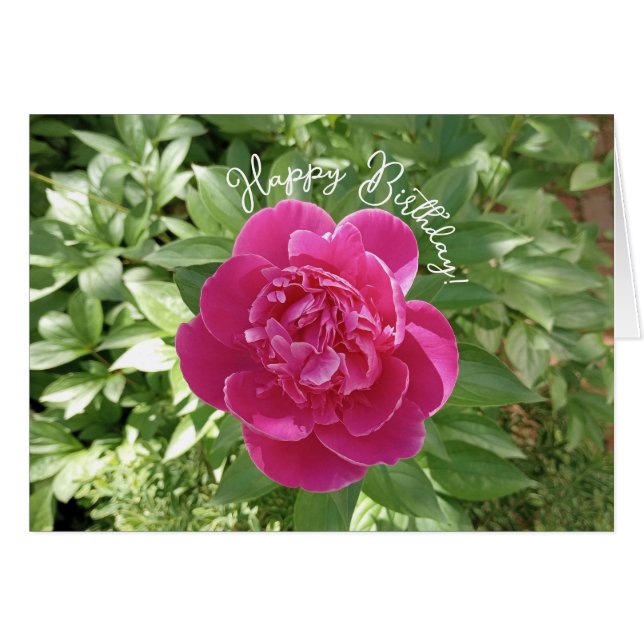 Lebhafte Pink Peony Blume Geburtstagskarte (Vorderseite (Horizontal))