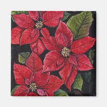 Lebhafte Poinsettia in Wasserfarbe
