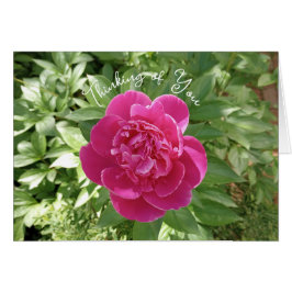 Lebhafte rosafarbene Blume Denken Sie an Ihre Kart