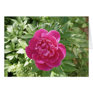Lebhafte rosafarbene Blume Denken Sie an Ihre Kart