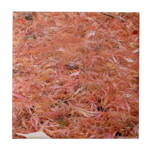 Lebhafte rote Herbstreben Fliese