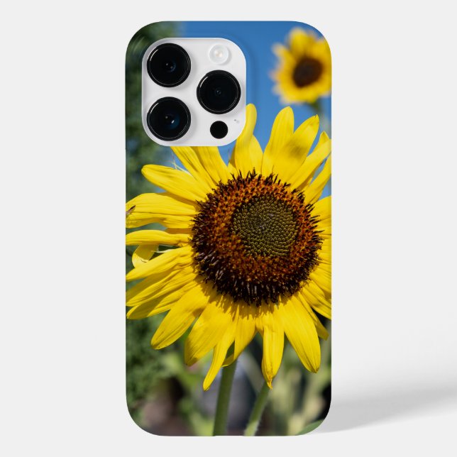 Lebhafte Sonnenblumen Case-Mate iPhone 14 Pro Hülle (Rückseite)