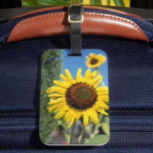 Lebhafte Sonnenblumen Gepäckanhänger