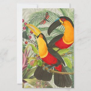 Lebhafte tropische Vögel Kunst Exotischer Dschunge