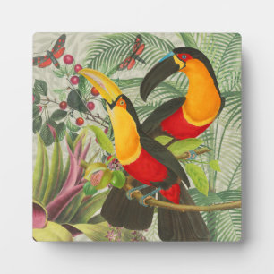 Lebhafte tropische Vögel Kunst Exotischer Dschunge Fotoplatte