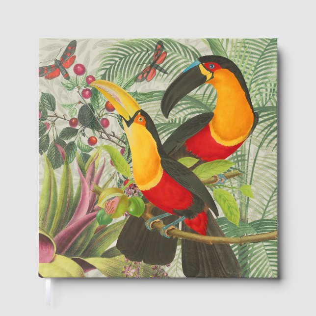Lebhafte tropische Vögel Kunst Exotischer Dschunge Gästebuch (Vorderseite)