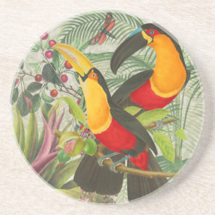 Lebhafte tropische Vögel Kunst Exotischer Dschunge Getränkeuntersetzer