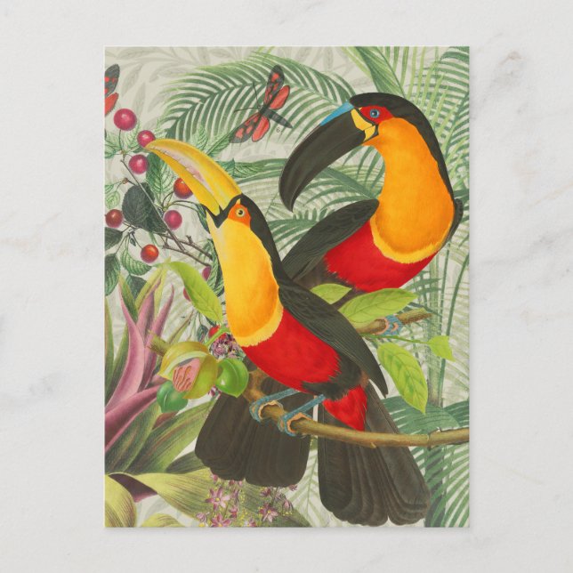 Lebhafte tropische Vögel Kunst Exotischer Dschunge Postkarte (Vorderseite)
