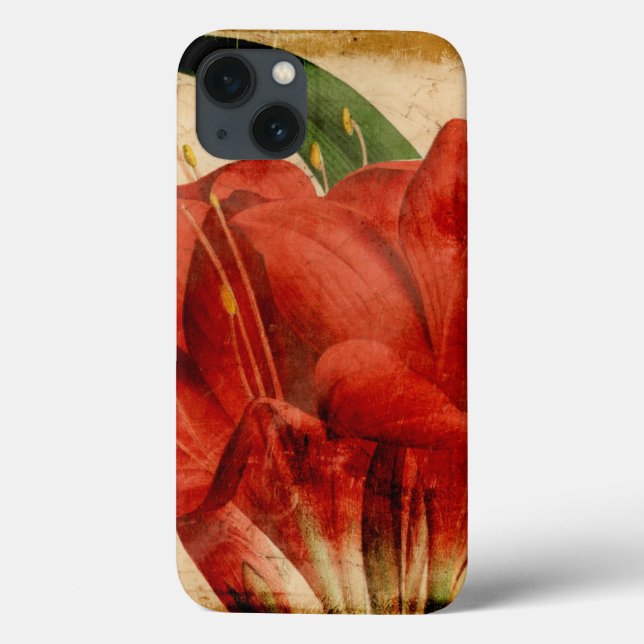 Lebhafter Blumenstrauß VIII Case-Mate iPhone Hülle (Rückseite)