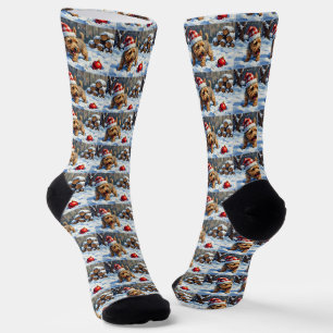 Lebhafter Cairn Terrier Hund gräbt nach Weihnachte Socken